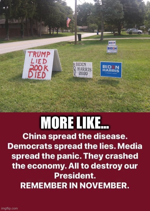 Probably the first Biden sign I’ve seen all year | MORE LIKE... | image tagged in joe biden,covid-19,coronavirus,china,democrats,memes | made w/ Imgflip meme maker