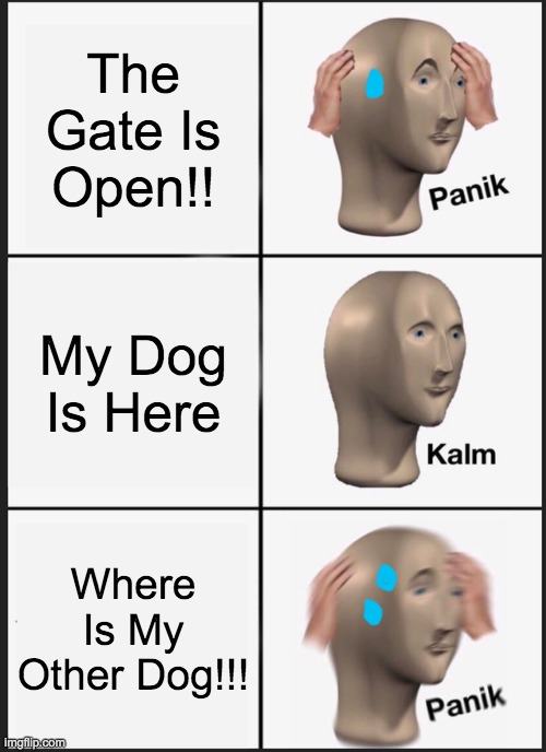 Double Dog | The Gate Is Open!! My Dog Is Here; Where Is My Other Dog!!! | image tagged in memes,panik kalm panik | made w/ Imgflip meme maker