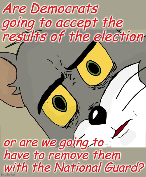 Questions nobody is asking.......... | Are Democrats going to accept the results of the election; or are we going to have to remove them with the National Guard? | image tagged in memes,unsettled tom | made w/ Imgflip meme maker