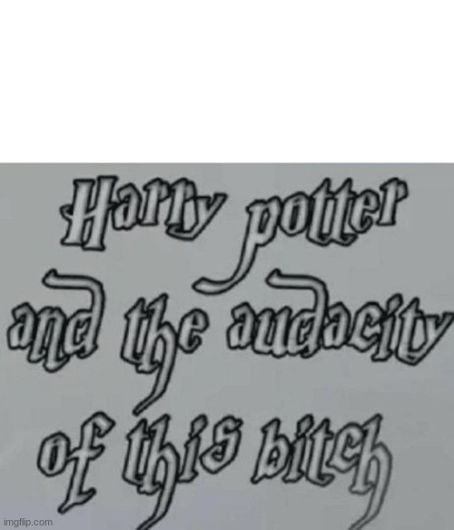 Harry Potter and the audacity | image tagged in harry potter and the audacity | made w/ Imgflip meme maker