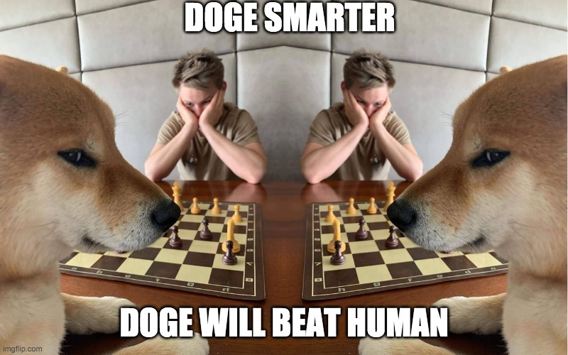 Doge Intelligence | DOGE SMARTER; DOGE WILL BEAT HUMAN | image tagged in double doge chess | made w/ Imgflip meme maker