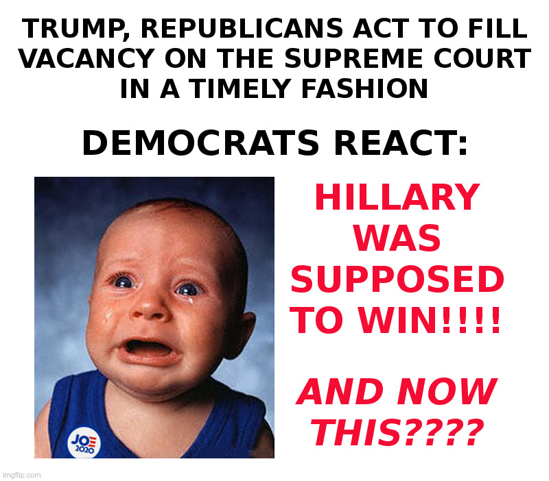 Filling A Vacancy at the Supreme Court | image tagged in ruth bader ginsburg,supreme court,donald trump,mitch mcconnell,democrats,crying baby | made w/ Imgflip meme maker