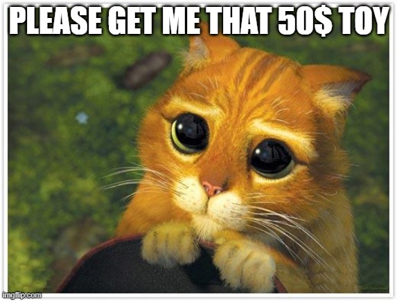 Shrek Cat | PLEASE GET ME THAT 50$ TOY | image tagged in memes,shrek cat | made w/ Imgflip meme maker