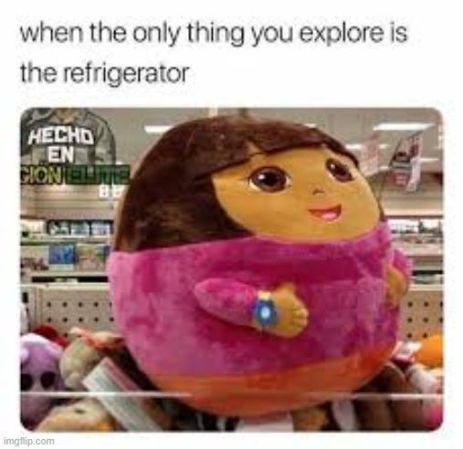 dora the fridge explorer | image tagged in funny memes | made w/ Imgflip meme maker