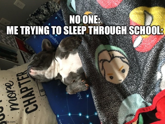 Lol | NO ONE:
ME TRYING TO SLEEP THROUGH SCHOOL: | image tagged in hahaha | made w/ Imgflip meme maker