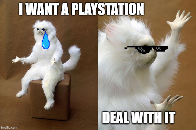 Persian Cat Room Guardian Meme | I WANT A PLAYSTATION; DEAL WITH IT | image tagged in memes,persian cat room guardian | made w/ Imgflip meme maker
