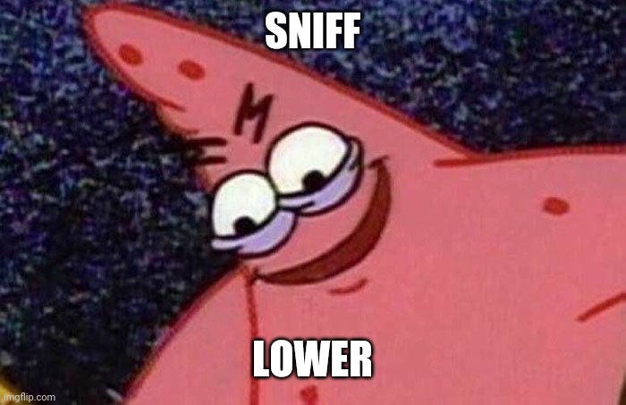 Evil Patrick  | SNIFF LOWER | image tagged in evil patrick | made w/ Imgflip meme maker