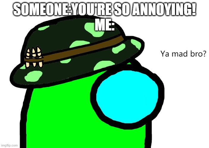 I made this a template lol | SOMEONE:YOU'RE SO ANNOYING!
ME: | image tagged in ya mad bro | made w/ Imgflip meme maker