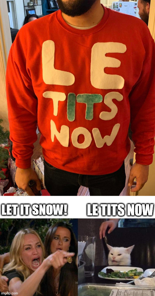 LE TITS NOW; LET IT SNOW! | image tagged in memes,woman yelling at cat | made w/ Imgflip meme maker