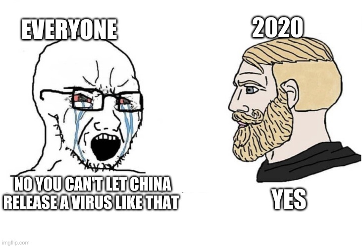 Soyboy Vs Yes Chad | EVERYONE; 2020; YES; NO YOU CAN'T LET CHINA RELEASE A VIRUS LIKE THAT | image tagged in soyboy vs yes chad | made w/ Imgflip meme maker