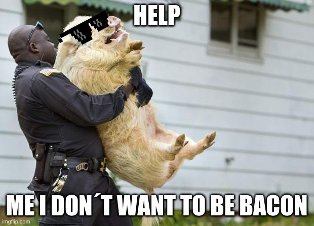 arrested pig | HELP; ME I DON´T WANT TO BE BACON | image tagged in arrested pig | made w/ Imgflip meme maker