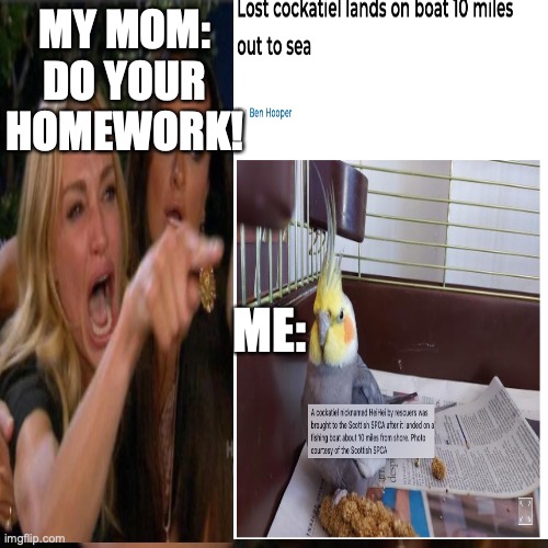 True stuff | MY MOM:
DO YOUR HOMEWORK! ME: | image tagged in true story | made w/ Imgflip meme maker