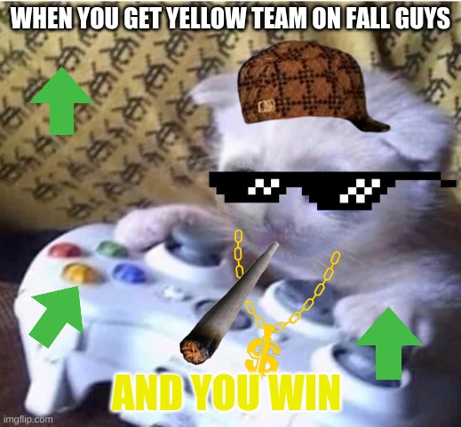 Sad gaming cat | WHEN YOU GET YELLOW TEAM ON FALL GUYS; AND YOU WIN | image tagged in sad gaming cat | made w/ Imgflip meme maker
