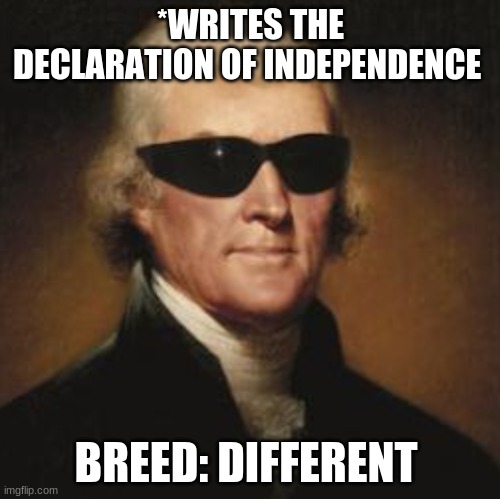 *WRITES THE DECLARATION OF INDEPENDENCE; BREED: DIFFERENT | image tagged in historical meme | made w/ Imgflip meme maker