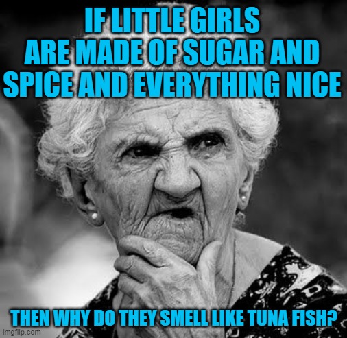 Wondering Old Lady | IF LITTLE GIRLS ARE MADE OF SUGAR AND SPICE AND EVERYTHING NICE; THEN WHY DO THEY SMELL LIKE TUNA FISH? | image tagged in wondering old lady | made w/ Imgflip meme maker