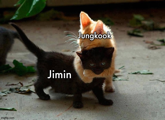 kitten hug | Jungkook; Jimin | image tagged in kitten hug | made w/ Imgflip meme maker