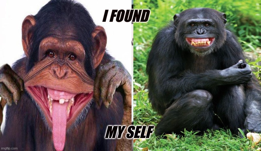 ME | I FOUND; MY SELF | image tagged in funny memes | made w/ Imgflip meme maker