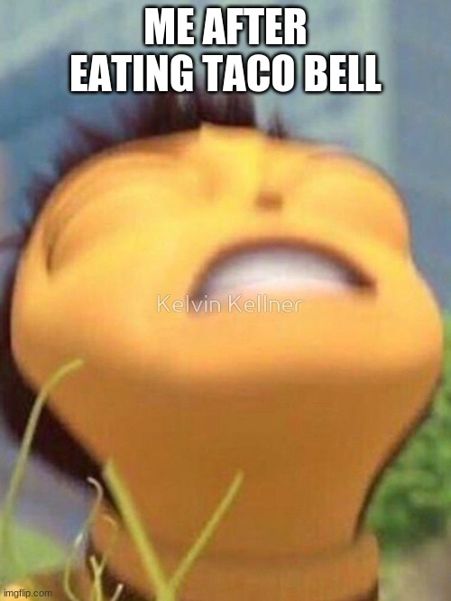 The truest thing in the history of the planet | ME AFTER EATING TACO BELL | image tagged in memes,funny | made w/ Imgflip meme maker