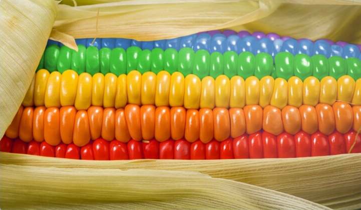 Rainbow Corn Blank Meme Template