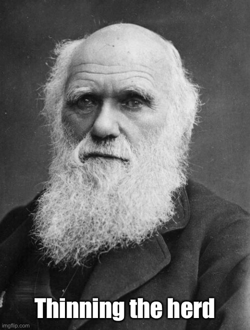 Charles Darwin | Thinning the herd | image tagged in charles darwin | made w/ Imgflip meme maker
