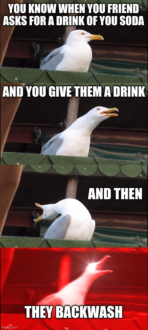 Inhaling Seagull Meme | YOU KNOW WHEN YOU FRIEND ASKS FOR A DRINK OF YOU SODA; AND YOU GIVE THEM A DRINK; AND THEN; THEY BACKWASH | image tagged in memes,inhaling seagull | made w/ Imgflip meme maker