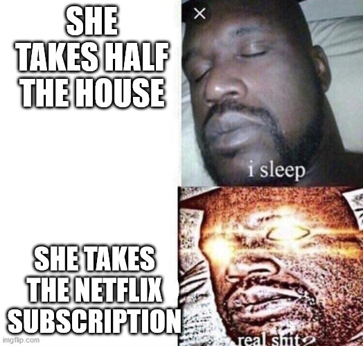 i sleep real shit | SHE TAKES HALF THE HOUSE SHE TAKES THE NETFLIX SUBSCRIPTION | image tagged in i sleep real shit | made w/ Imgflip meme maker