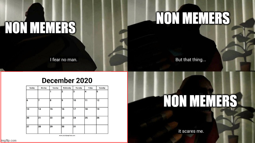 2020 been the best year for memes, worst year for society | NON MEMERS; NON MEMERS; NON MEMERS | image tagged in tf2 heavy i fear no man | made w/ Imgflip meme maker