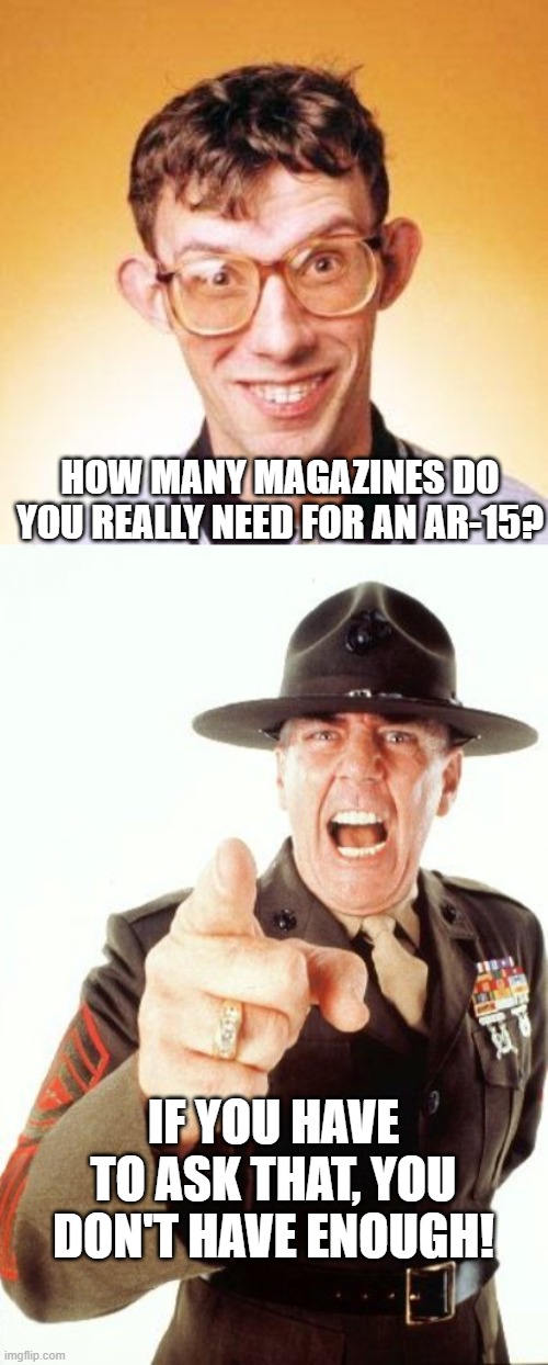 Truth | HOW MANY MAGAZINES DO YOU REALLY NEED FOR AN AR-15? IF YOU HAVE TO ASK THAT, YOU DON'T HAVE ENOUGH! | image tagged in nerd,r lee ermey,ar 15,magazines | made w/ Imgflip meme maker
