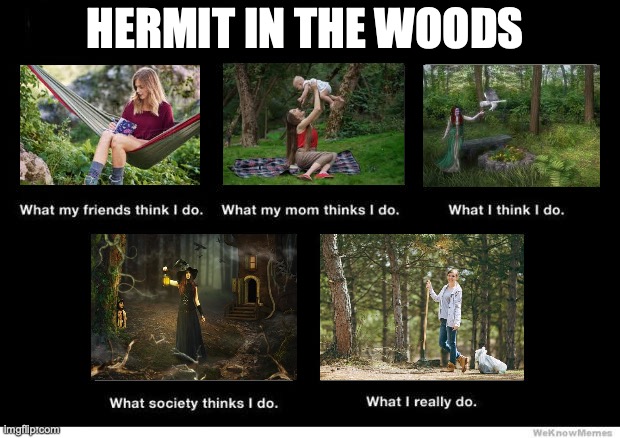 What I really do | HERMIT IN THE WOODS | image tagged in what i really do | made w/ Imgflip meme maker