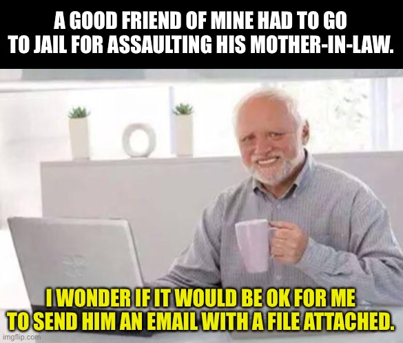 Harold | A GOOD FRIEND OF MINE HAD TO GO TO JAIL FOR ASSAULTING HIS MOTHER-IN-LAW. I WONDER IF IT WOULD BE OK FOR ME TO SEND HIM AN EMAIL WITH A FILE ATTACHED. | image tagged in harold | made w/ Imgflip meme maker