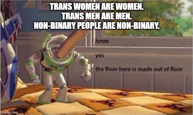 hmm yes the floor here is made out of floor | TRANS WOMEN ARE WOMEN.
TRANS MEN ARE MEN.
NON-BINARY PEOPLE ARE NON-BINARY. | image tagged in hmm yes the floor here is made out of floor,malinda kathleen reese | made w/ Imgflip meme maker