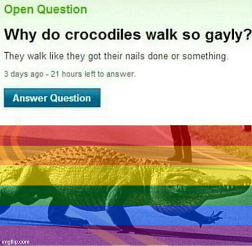 image tagged in crocodile,gay | made w/ Imgflip meme maker