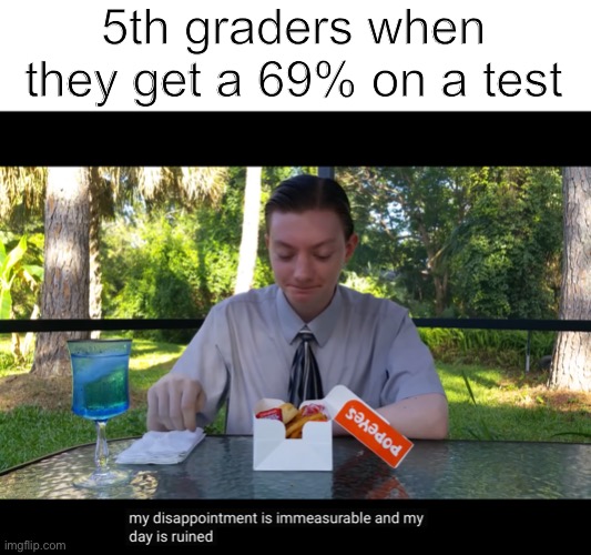 my disappointment is immeasurable and my day is ruined | 5th graders when they get a 69% on a test | image tagged in my disappointment is immeasurable and my day is ruined | made w/ Imgflip meme maker