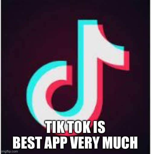 Tik Tok | TIK TOK IS BEST APP VERY MUCH | image tagged in tik tok | made w/ Imgflip meme maker