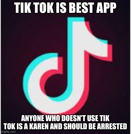 Tik Tok | TIK TOK IS BEST APP; ANYONE WHO DOESN’T USE TIK TOK IS A KAREN AND SHOULD BE ARRESTED | image tagged in tik tok | made w/ Imgflip meme maker