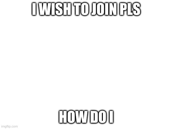 How | I WISH TO JOIN PLS; HOW DO I | image tagged in blank white template | made w/ Imgflip meme maker