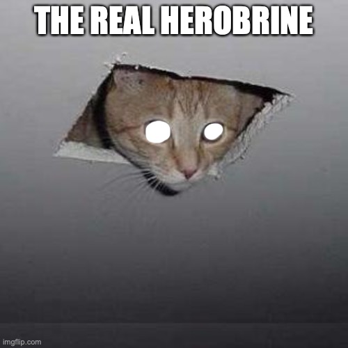 The Real Herobrine | THE REAL HEROBRINE | image tagged in memes,ceiling cat | made w/ Imgflip meme maker