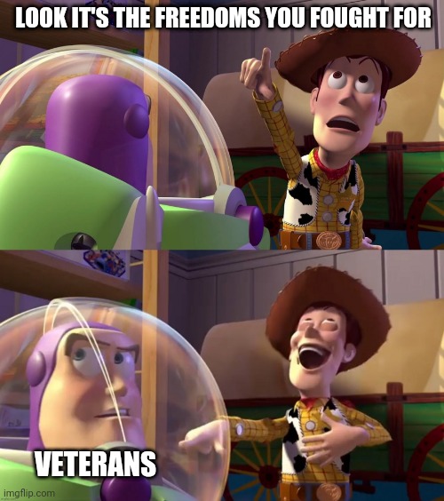 Buzz look an alien | LOOK IT'S THE FREEDOMS YOU FOUGHT FOR; VETERANS | image tagged in toy story funny scene | made w/ Imgflip meme maker