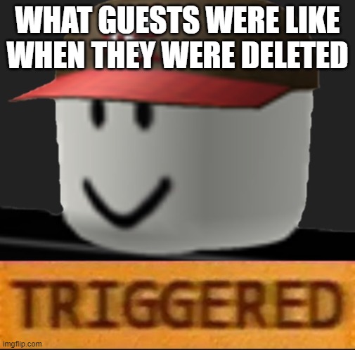 Roblox Triggered | WHAT GUESTS WERE LIKE WHEN THEY WERE DELETED | image tagged in roblox triggered | made w/ Imgflip meme maker