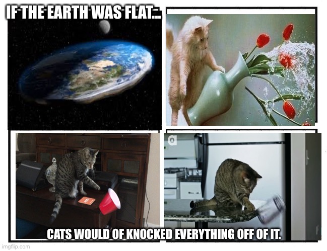 Rage Comic Template | IF THE EARTH WAS FLAT... CATS WOULD OF KNOCKED EVERYTHING OFF OF IT. | image tagged in rage comic template | made w/ Imgflip meme maker