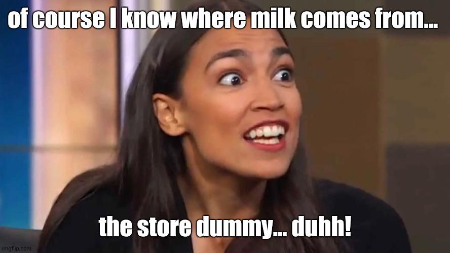 Clueless | of course I know where milk comes from... the store dummy... duhh! | image tagged in crazy aoc | made w/ Imgflip meme maker