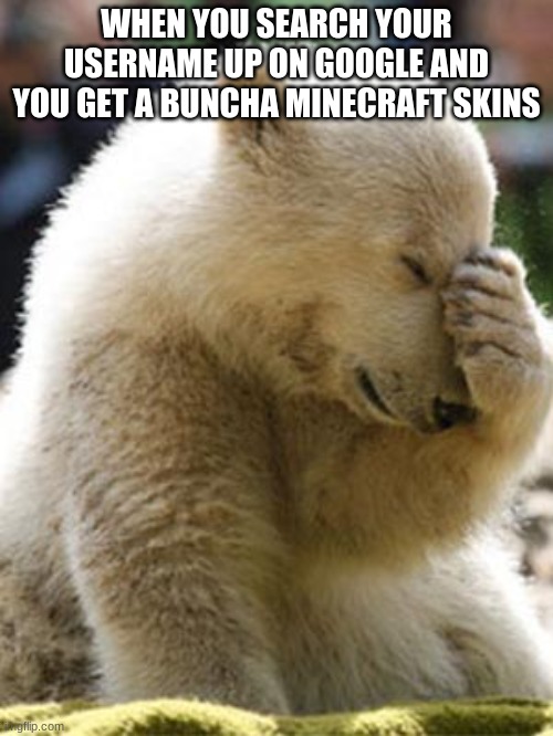 It does make sense for the skins to be there though | WHEN YOU SEARCH YOUR USERNAME UP ON GOOGLE AND YOU GET A BUNCHA MINECRAFT SKINS | image tagged in memes,facepalm bear | made w/ Imgflip meme maker