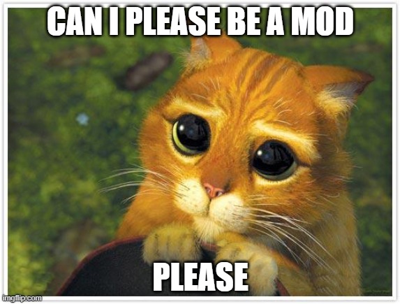 please i am a good mod i am extremely active too | CAN I PLEASE BE A MOD; PLEASE | image tagged in memes,shrek cat | made w/ Imgflip meme maker