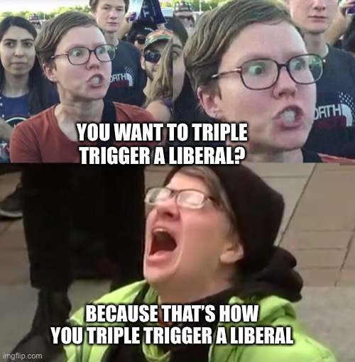 YOU WANT TO TRIPLE TRIGGER A LIBERAL? BECAUSE THAT’S HOW YOU TRIPLE TRIGGER A LIBERAL | image tagged in triggered liberal,screaming liberal,triggered feminist | made w/ Imgflip meme maker