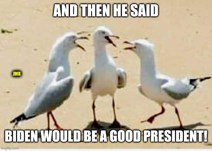 What?!? | AND THEN HE SAID; JMR; BIDEN WOULD BE A GOOD PRESIDENT! | image tagged in laughing birds,election 2020,creepy joe biden | made w/ Imgflip meme maker