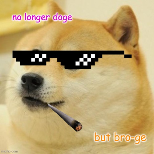 Doge | no longer doge; but bro-ge | image tagged in memes,doge | made w/ Imgflip meme maker