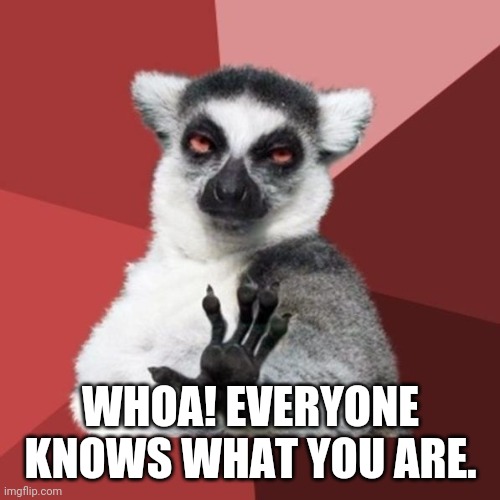 Chill Out Lemur Meme | WHOA! EVERYONE KNOWS WHAT YOU ARE. | image tagged in memes,chill out lemur | made w/ Imgflip meme maker