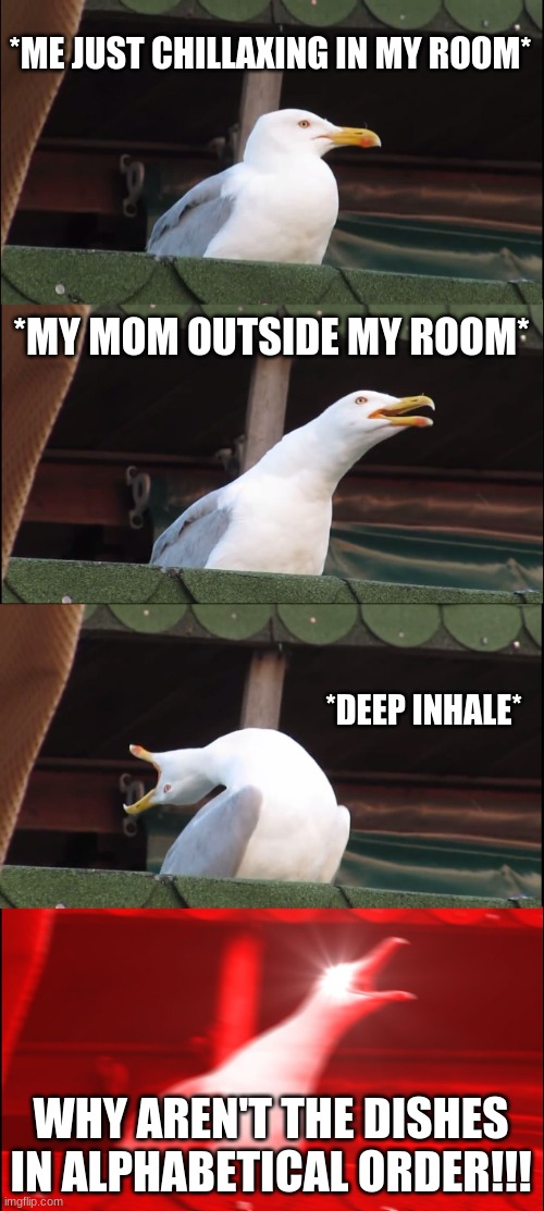 S e a g u l l s | *ME JUST CHILLAXING IN MY ROOM*; *MY MOM OUTSIDE MY ROOM*; *DEEP INHALE*; WHY AREN'T THE DISHES IN ALPHABETICAL ORDER!!! | image tagged in memes,inhaling seagull | made w/ Imgflip meme maker