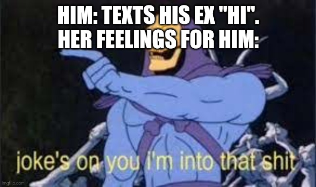 Sounds familiar | HIM: TEXTS HIS EX "HI".

HER FEELINGS FOR HIM: | image tagged in jokes on you im into that shit | made w/ Imgflip meme maker