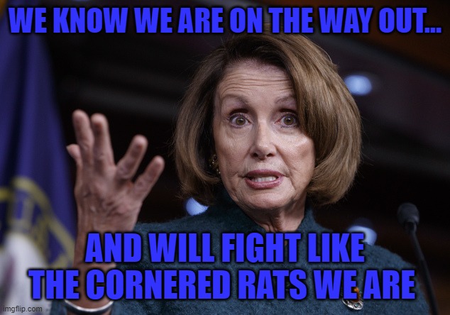 Good old Nancy Pelosi | WE KNOW WE ARE ON THE WAY OUT... AND WILL FIGHT LIKE THE CORNERED RATS WE ARE | image tagged in good old nancy pelosi | made w/ Imgflip meme maker